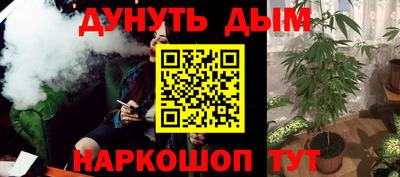 шишки Берёзовский