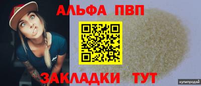 шишки Берёзовский
