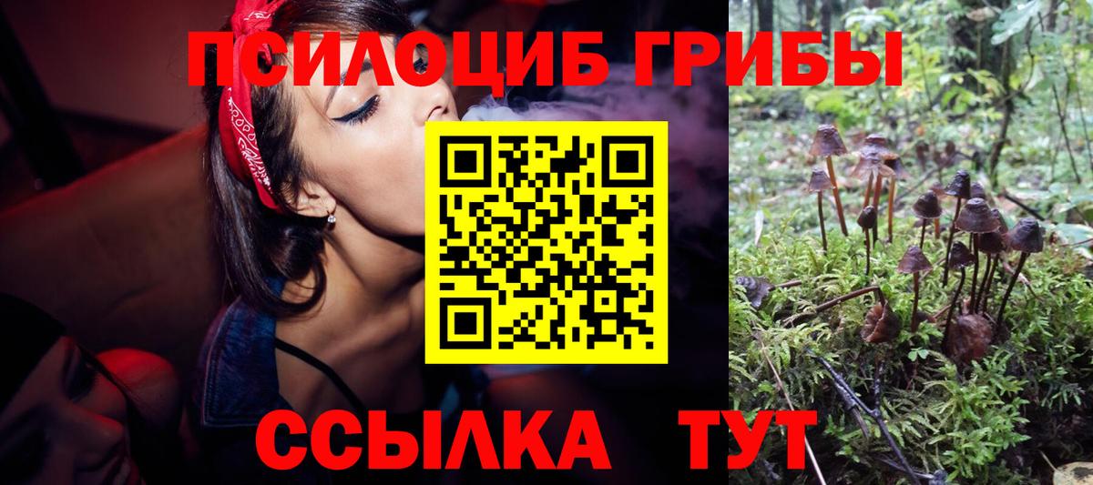 Псилоцибиновые грибы Magic Shrooms  Вход с VPN  Киселёвск 